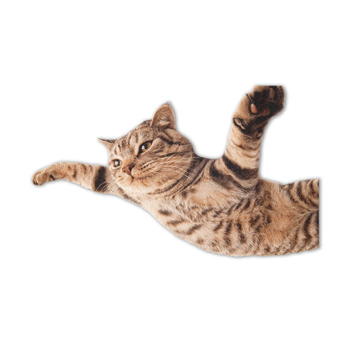 Funny Cat Shaped Rugs Custom For Livingroom Decor Mat Quality Carpet-Animerugs