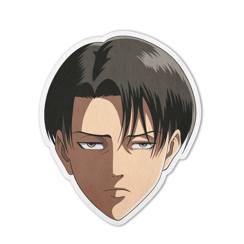 Levi Ackerman Shaped Rug Custom Attack On Titan Anime Room Decor Mat Quality Carpet-Animerugs